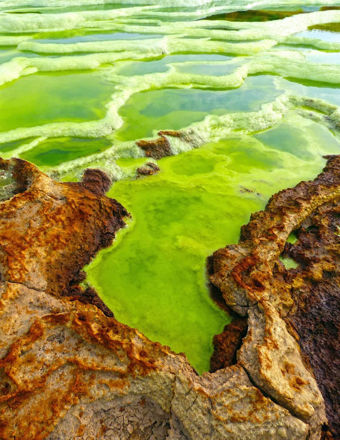 Neongrüne Säuretümpel mit rostorangen Mineralrändern in Dallol